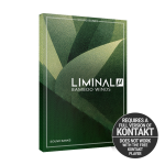 Liminal Bamboo Winds