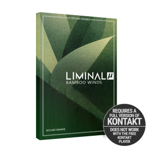 Liminal Bamboo Winds
